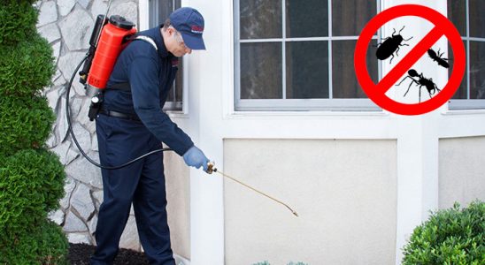 Bucak Karınca İlaçlama böcek ilaçlama ve haşere kontrolü — ilaclama-tr.com